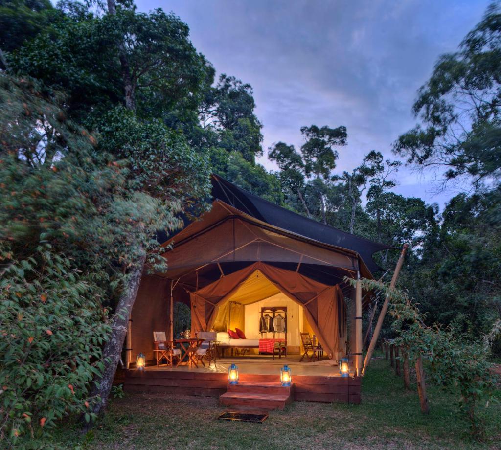 Elephant Pepper Camp photo 3