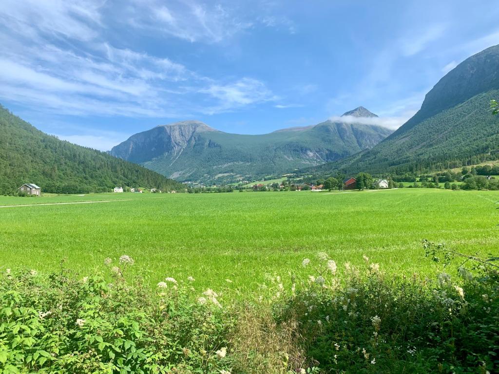 Engen Gård photo 1