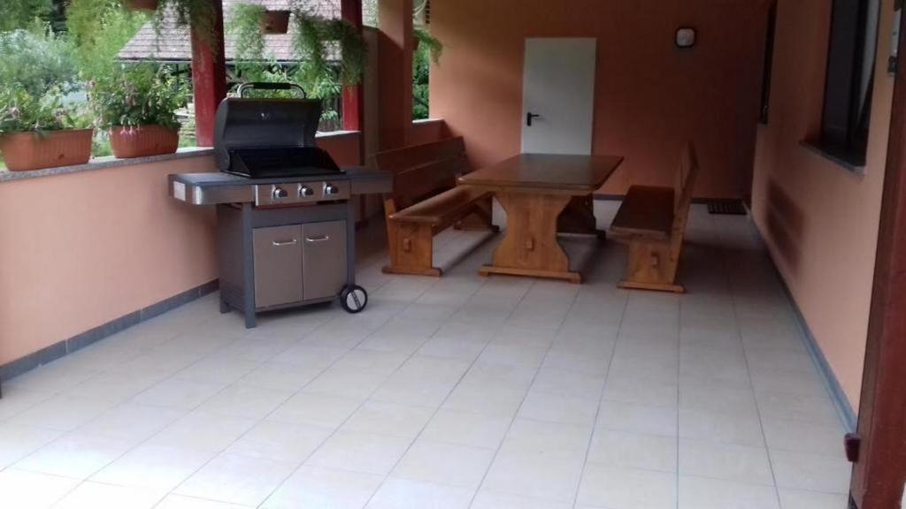 Apartma Kolpa photo 4