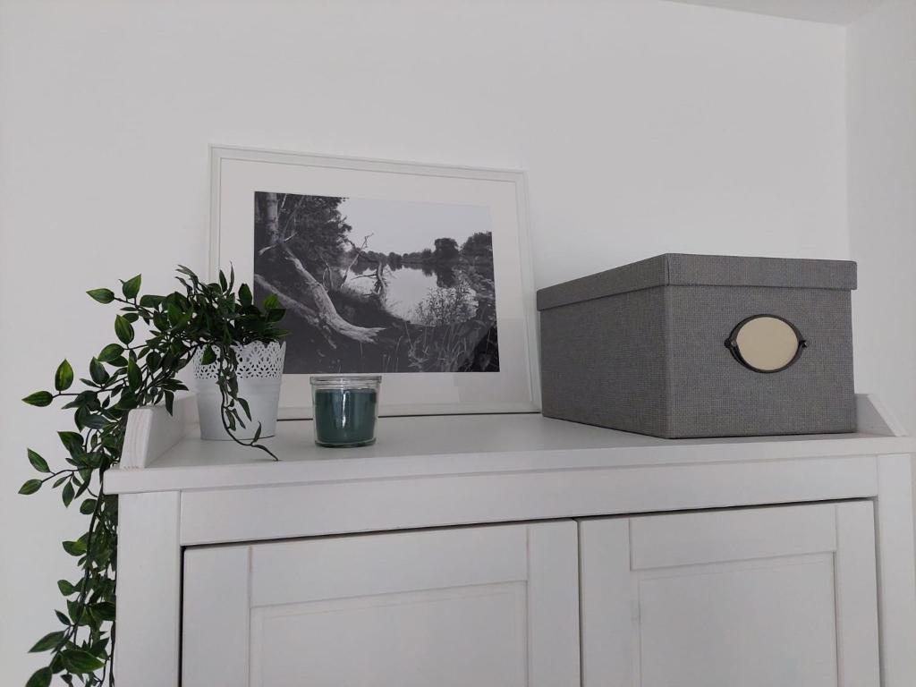Gemütliches, voll ausgestattetes Apartment photo 4