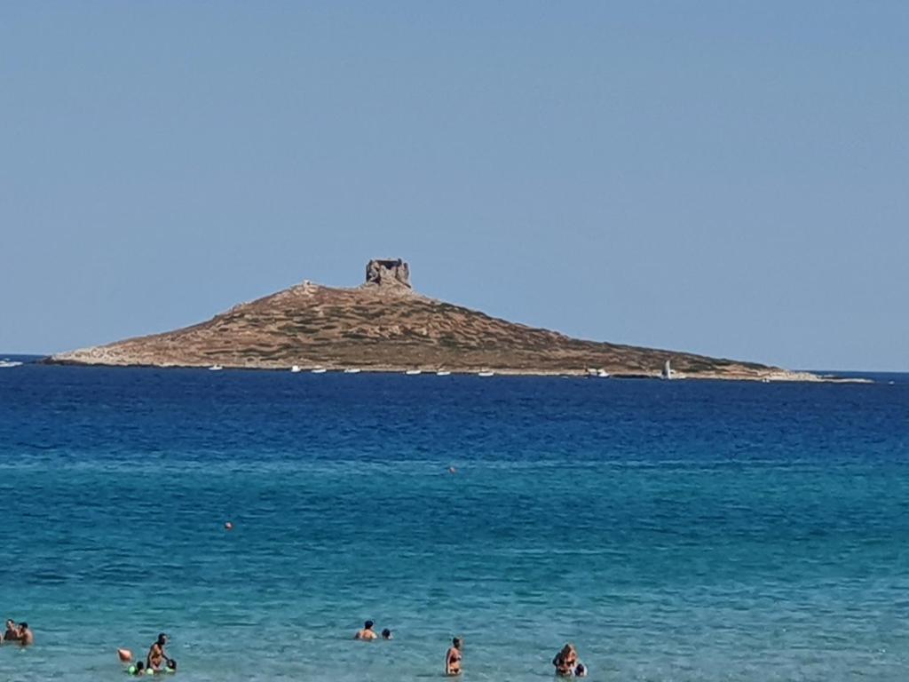 Casetta delle Mimose photo 1