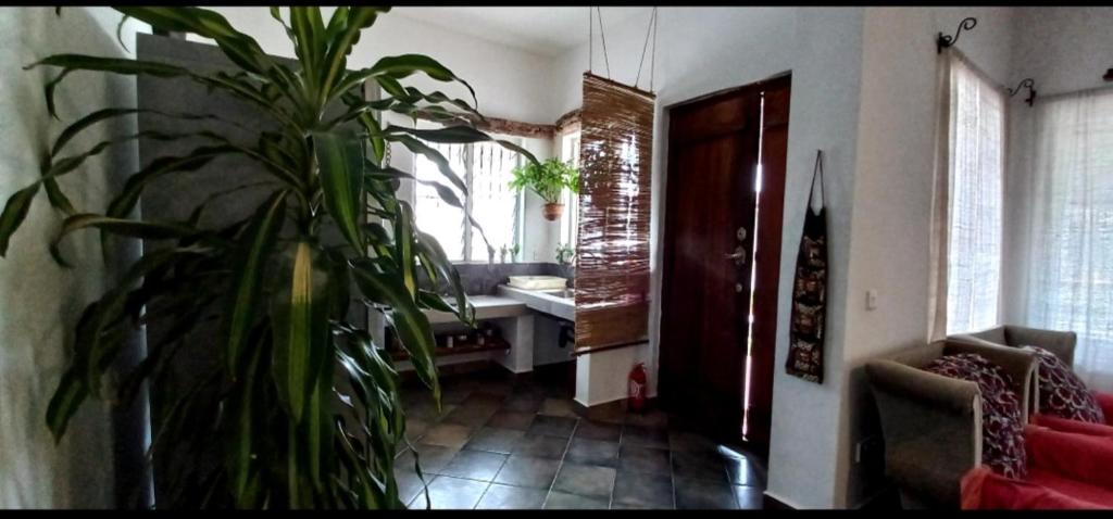 Nakupenda Apartments photo 3