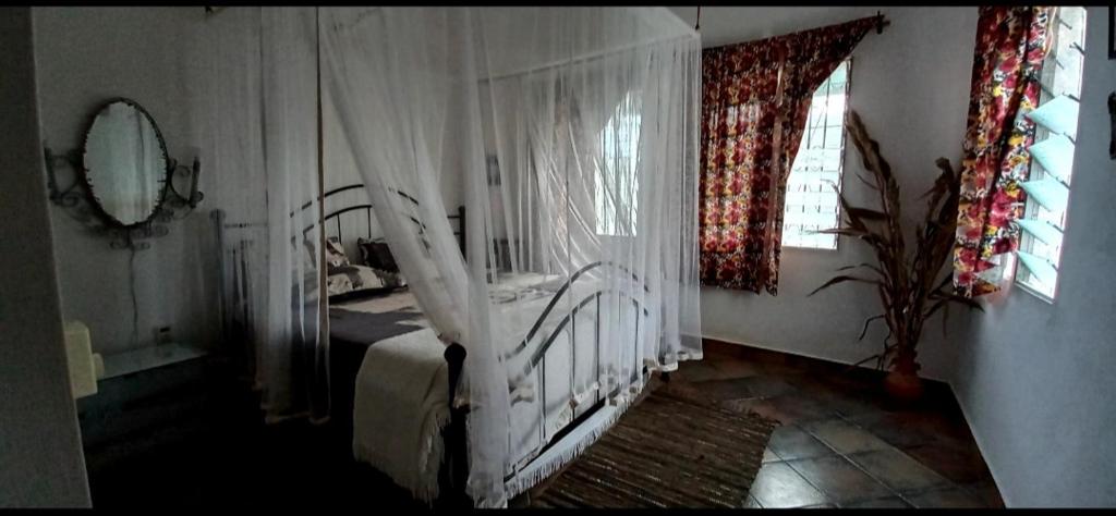 Nakupenda Apartments photo 1