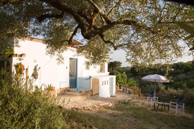 Casa Rural Delta del Ebro Ecoturismo photo 2