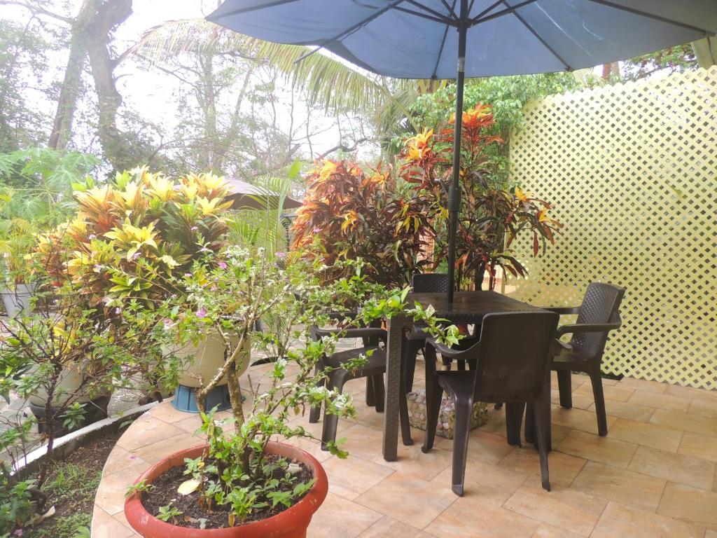 Casa del Sol Bed and Breakfast photo 3