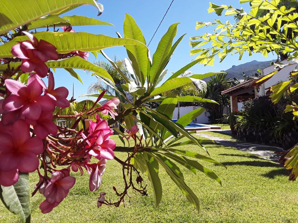 La Finca III photo 4