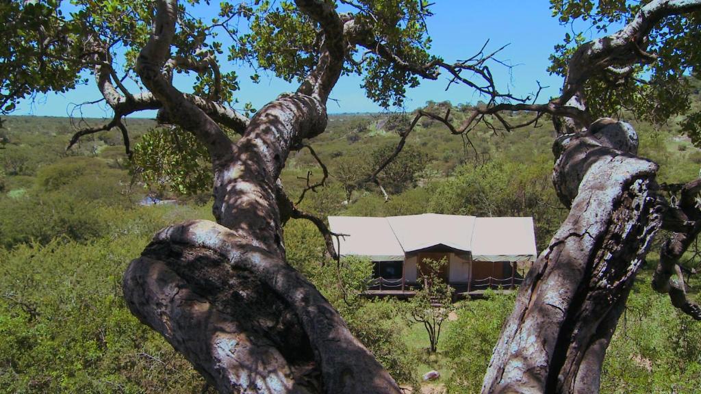 Serengeti Migration Camp photo 1