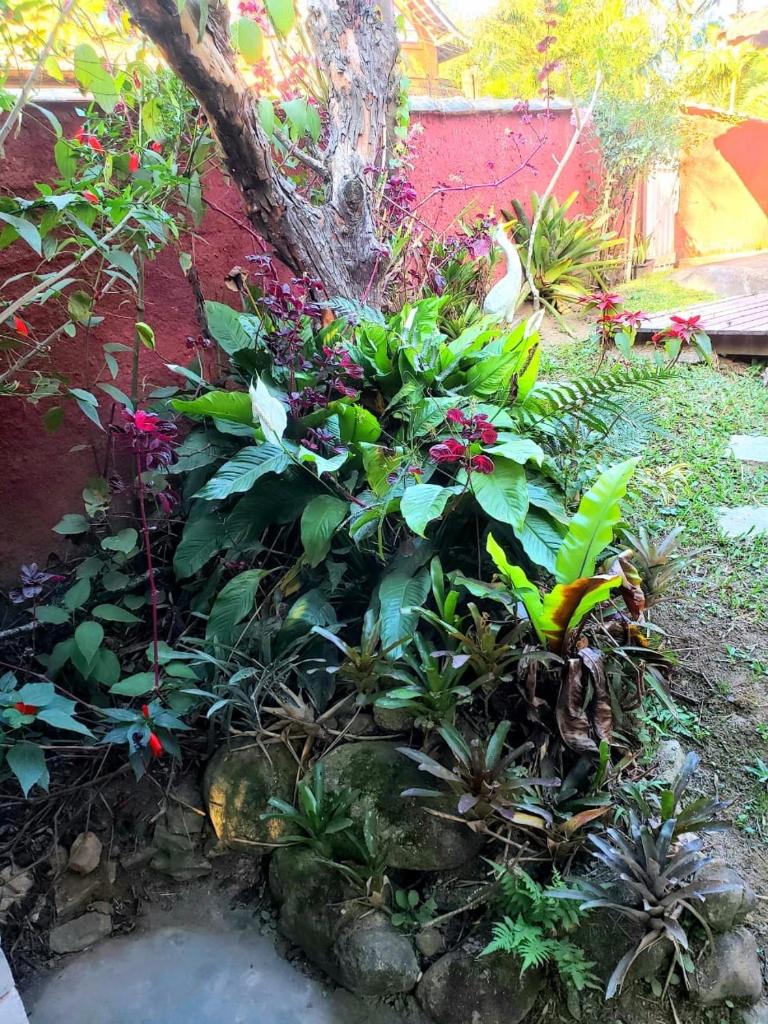 Casa Cravo & Canela photo 4