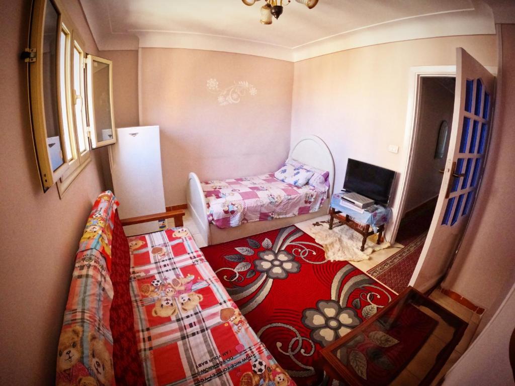 Room in Apartment - Best Price In Downtown, Walk Everywhere photo 1