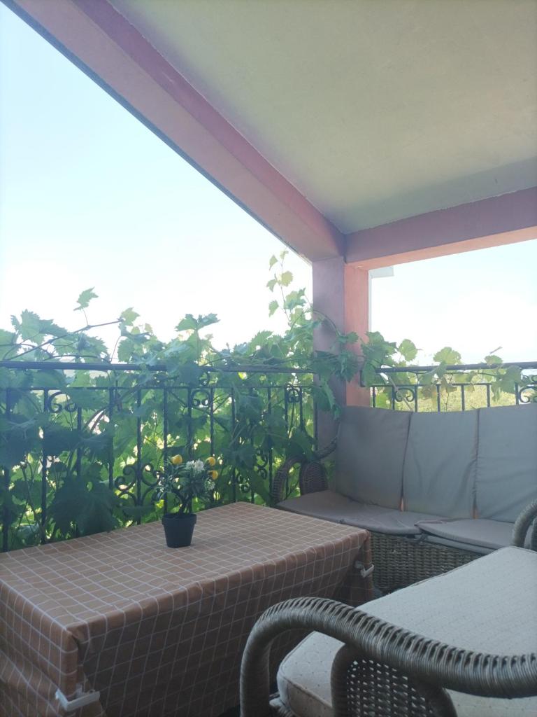 Apartman Balsa photo 4