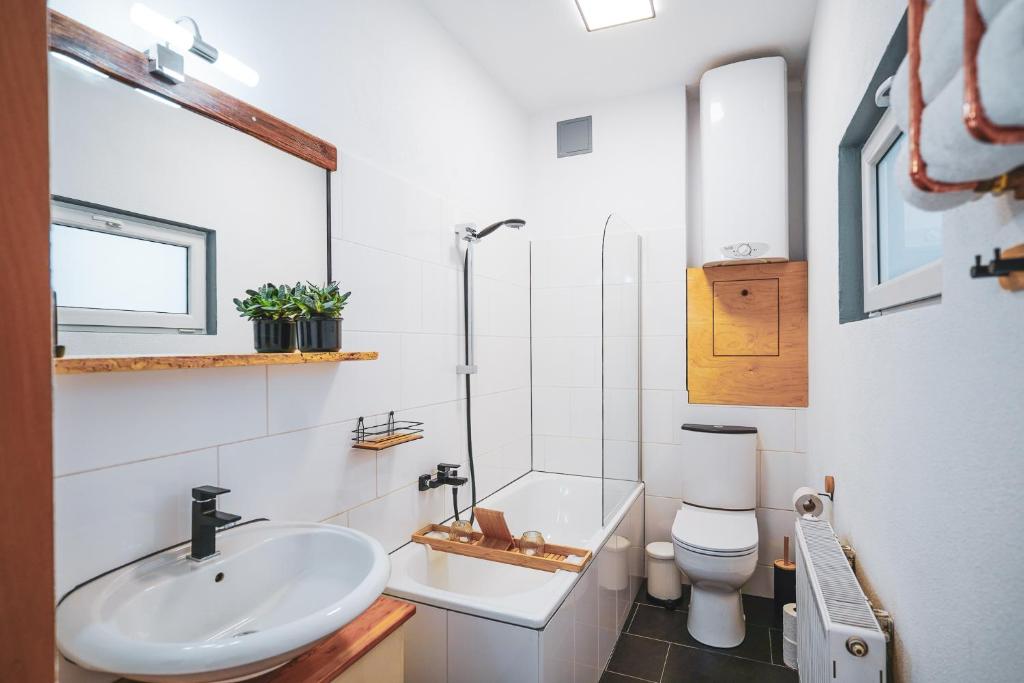 Studio Apartment zur alten Post photo 4