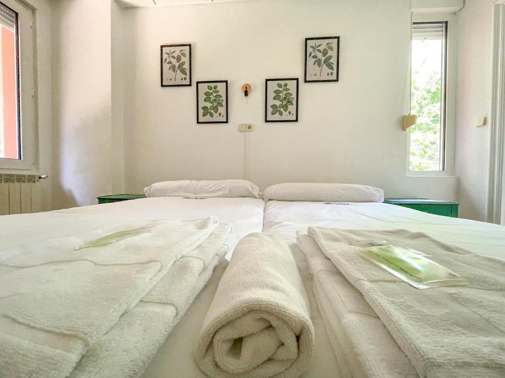 Arena Surf Hotel photo 3