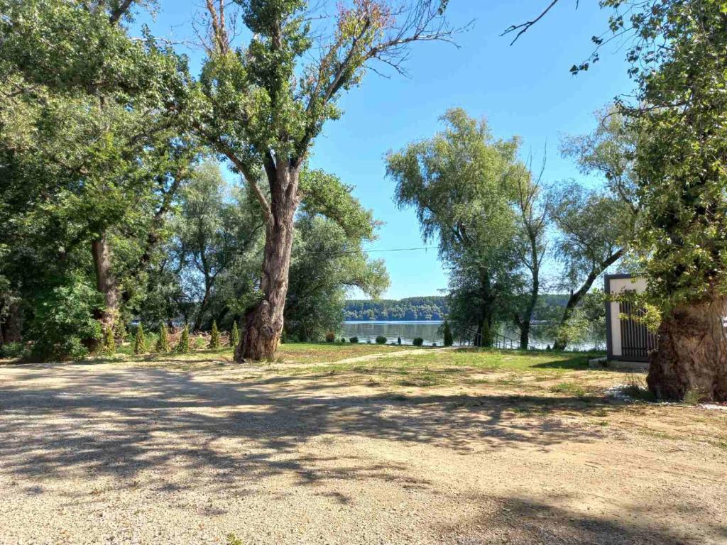 Bora kuće na reci photo 2