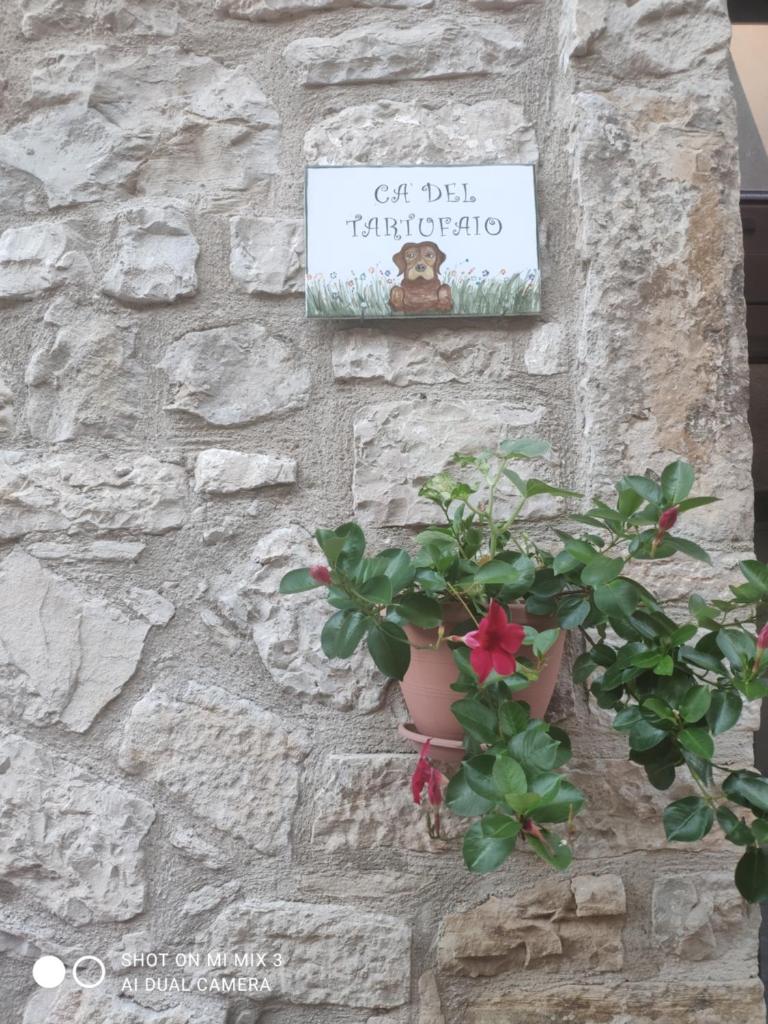 Ca' del tartufaio photo 3
