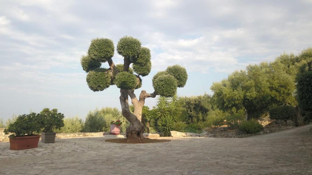 Casa Campagna photo 3