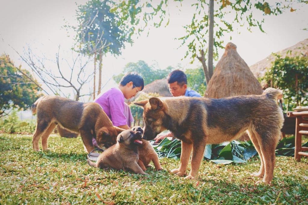 Mai Chau Valley Retreat