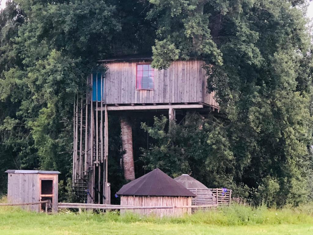 Treehouse Magpies Nest with bubble pool photo 1