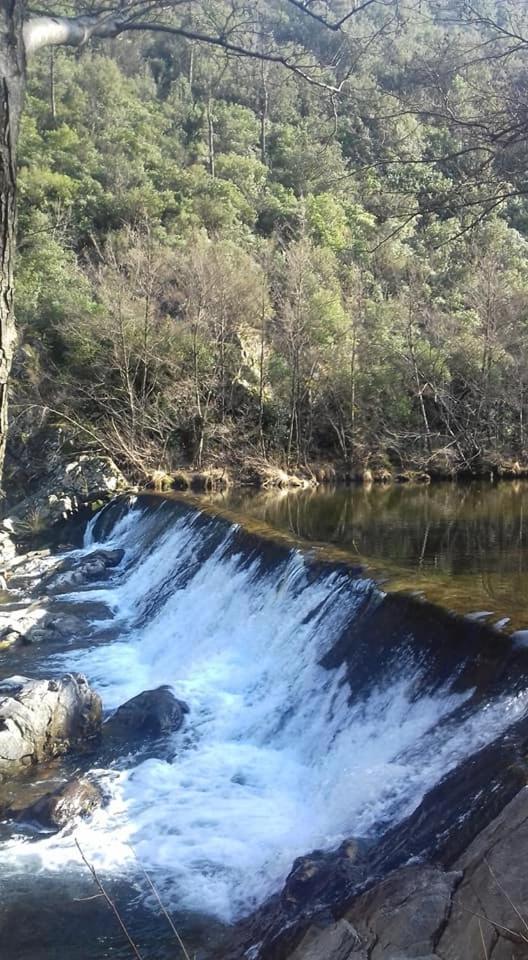 Le mas des sources cévenol photo 3