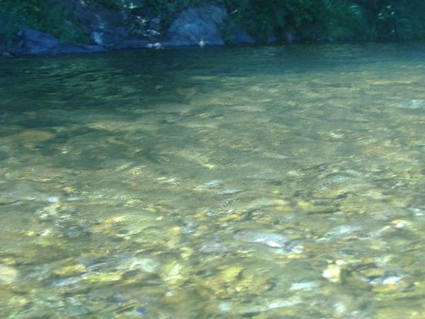 Le mas des sources cévenol photo 4