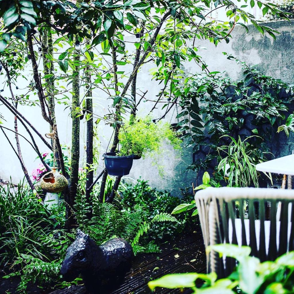 Romantic Wellness BnB Noordwijk photo 3