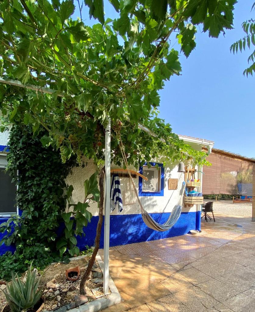 Casa Rural La Higuera photo 4