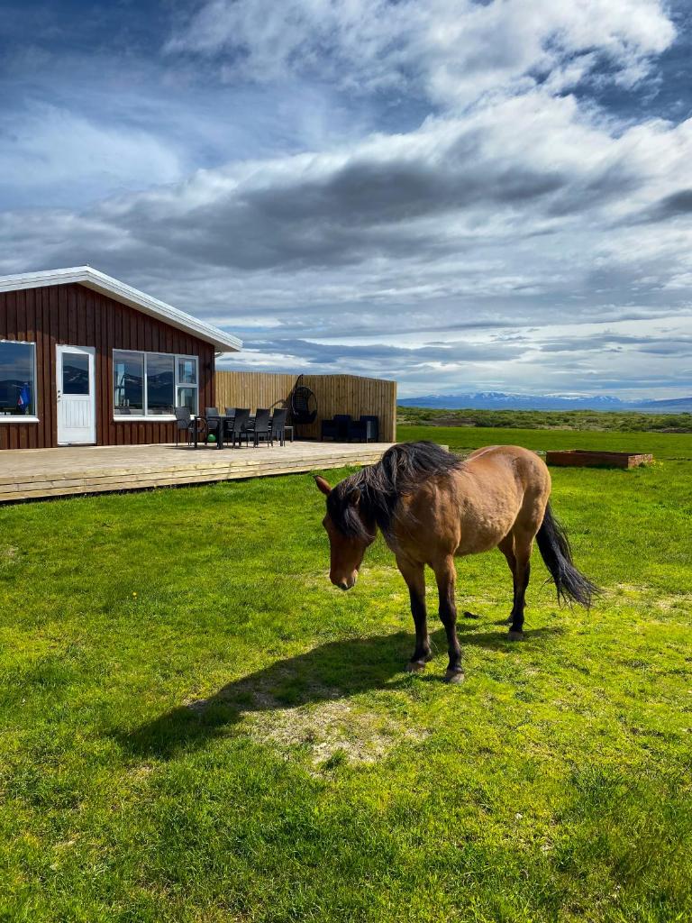 Beautiful house in the nature of West Iceland photo 1