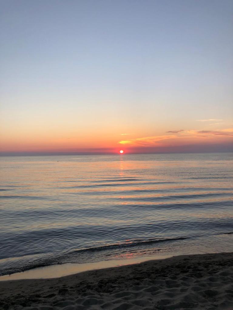 Summer by the Sea photo 1