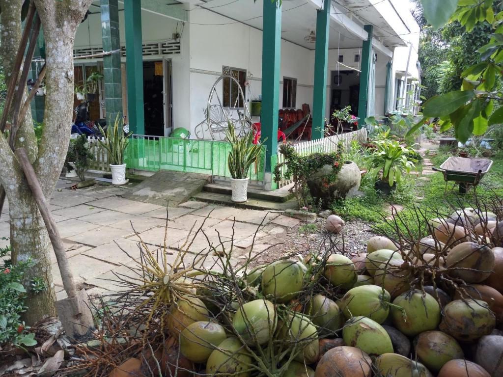 Coco Happy Farm photo 2