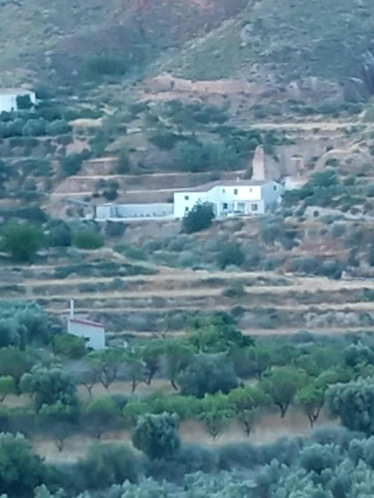 Molino Mio photo 1
