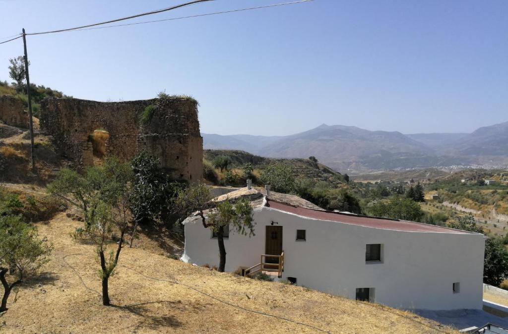 Molino Mio photo 2