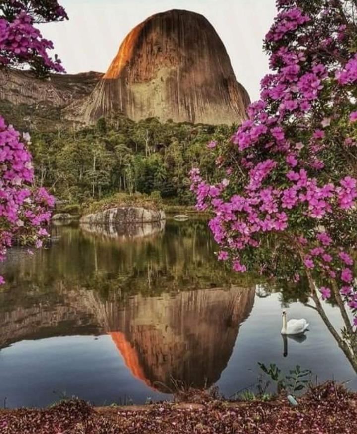 LUZ DO LUAR photo 3