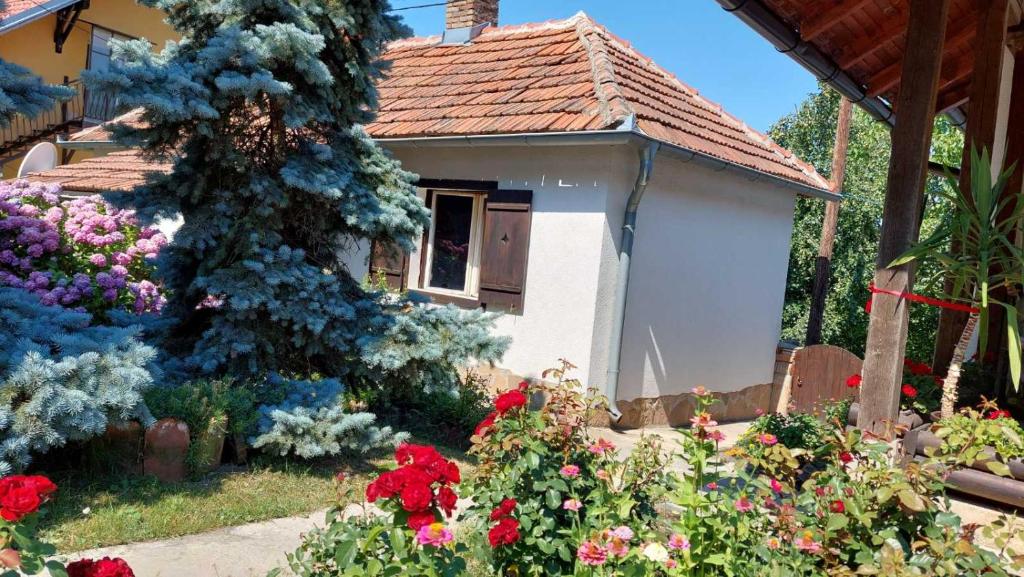 Apartman Nebojša