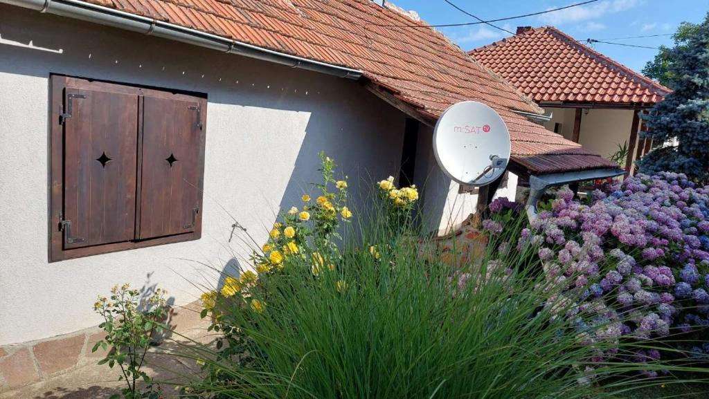 Apartman Nebojša photo 3