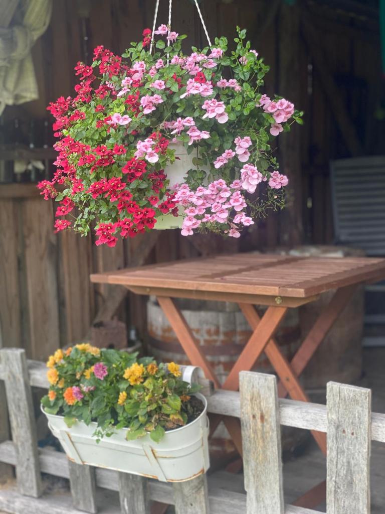 Vahi Holiday Home photo 2