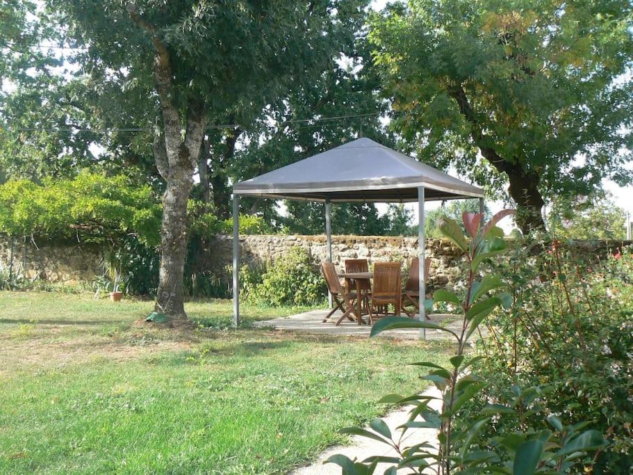 Maison calme au cœur des vignes photo 4