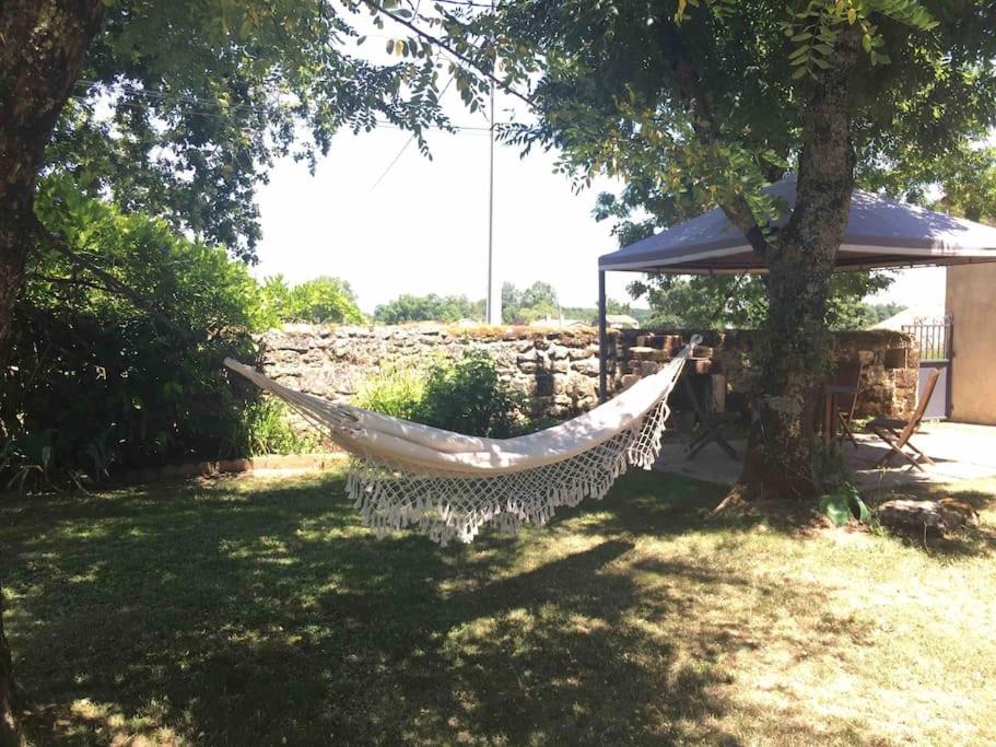 Maison calme au cœur des vignes photo 2