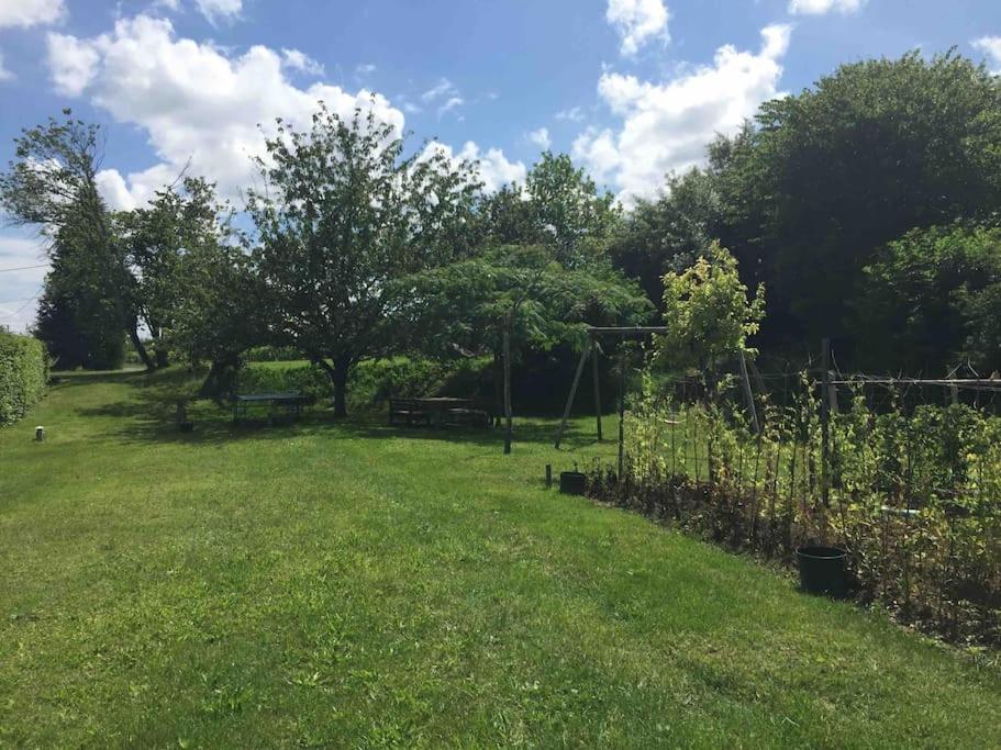 Maison calme au cœur des vignes photo 1
