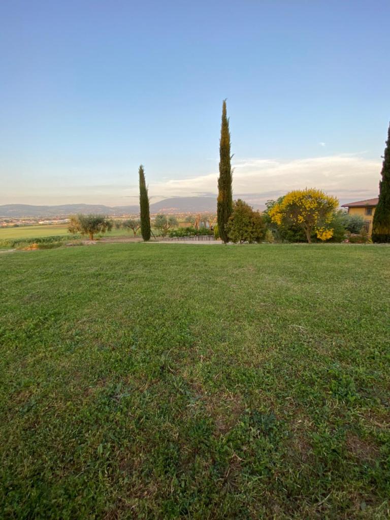 Casale in collina vista Assisi,Brufa di Torgiano photo 2