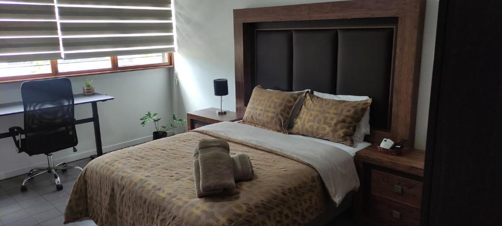 Leveli Coliving & Hostel Guadalajara