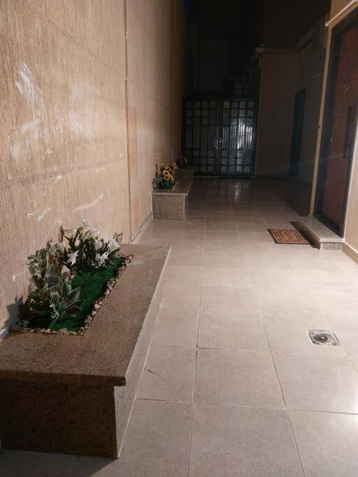 Eco Inn: Sherook66B2 1 BR Apartment With Garden photo 1