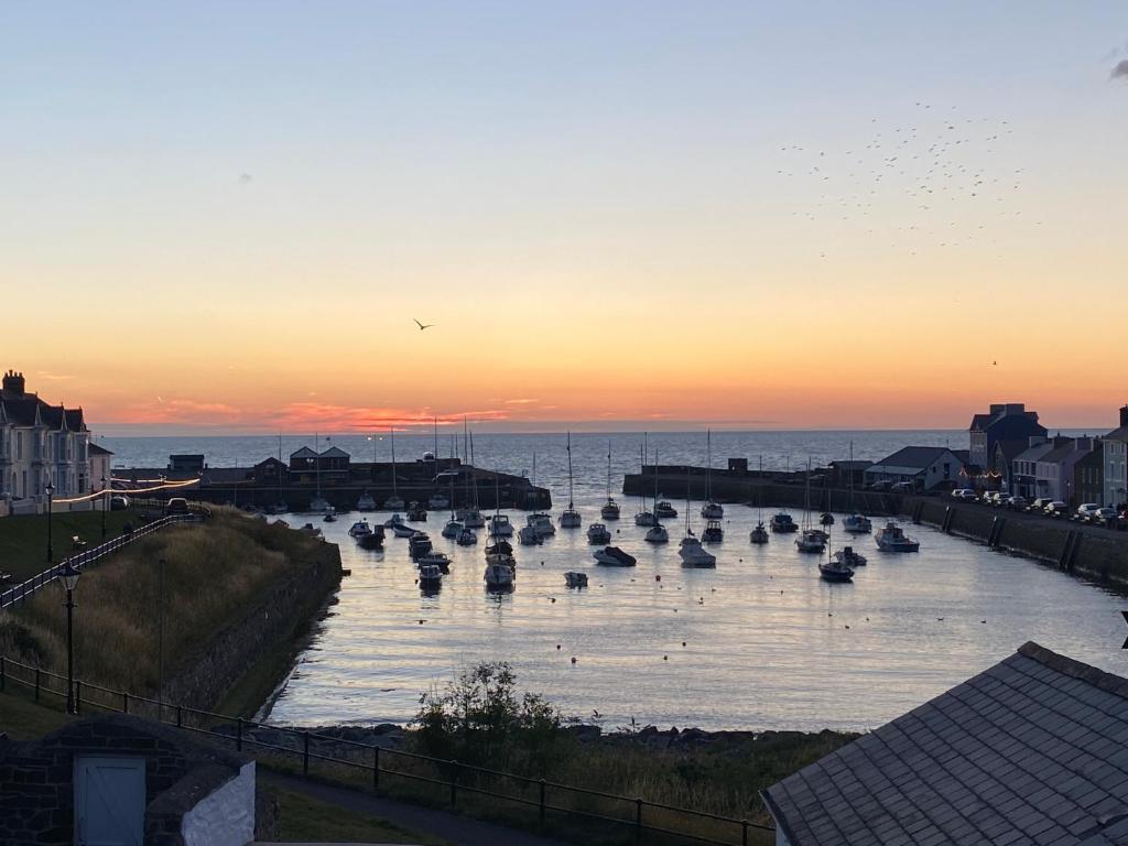 Aberaeron Island House - Panoramic Harbour Views