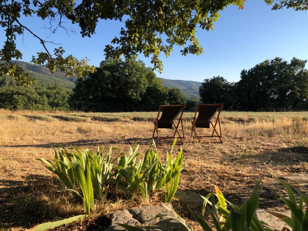 Cabanon du berger photo 1
