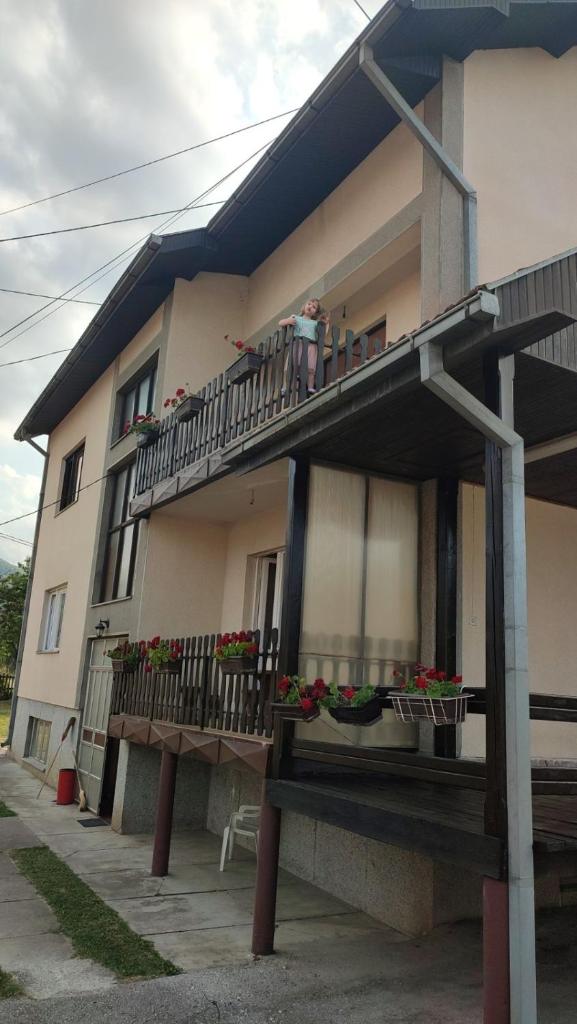 Kacara photo 4