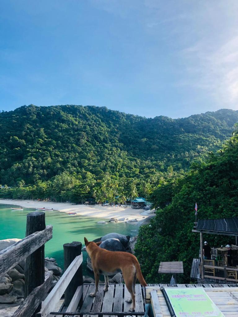 Bambu Huts photo 1