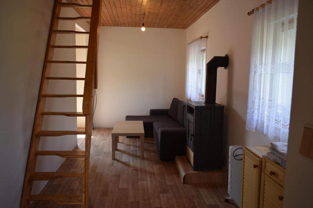 Chata Janov photo 3