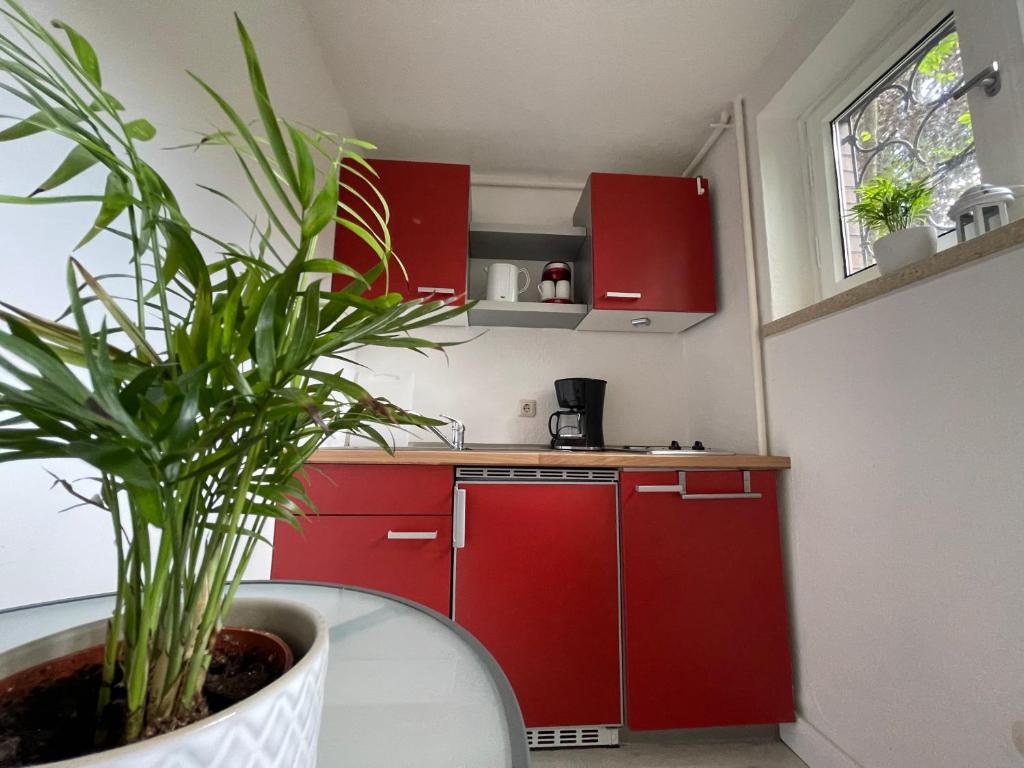 Ferienwohnung Heidis Heidehaus photo 4