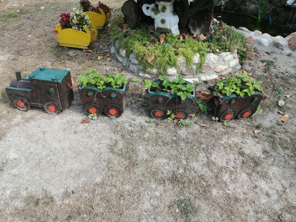 Mala Kelja photo 2