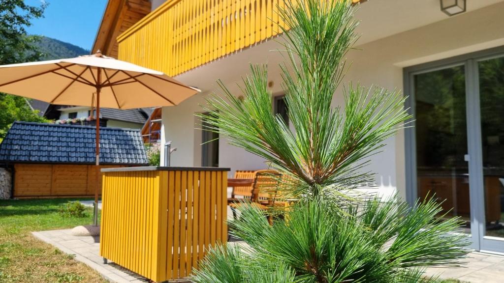 Apartments Vila Darja photo 2