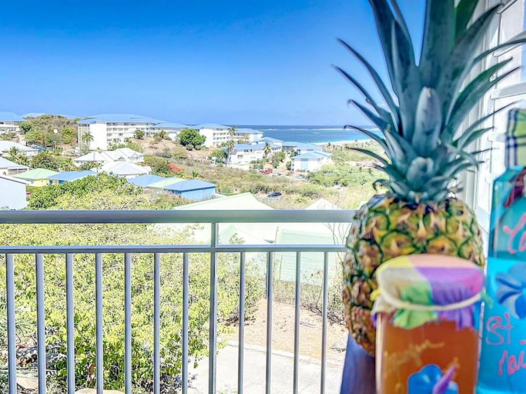 Perle Bleue beautiful sea view 10 min walk from the beach photo 4
