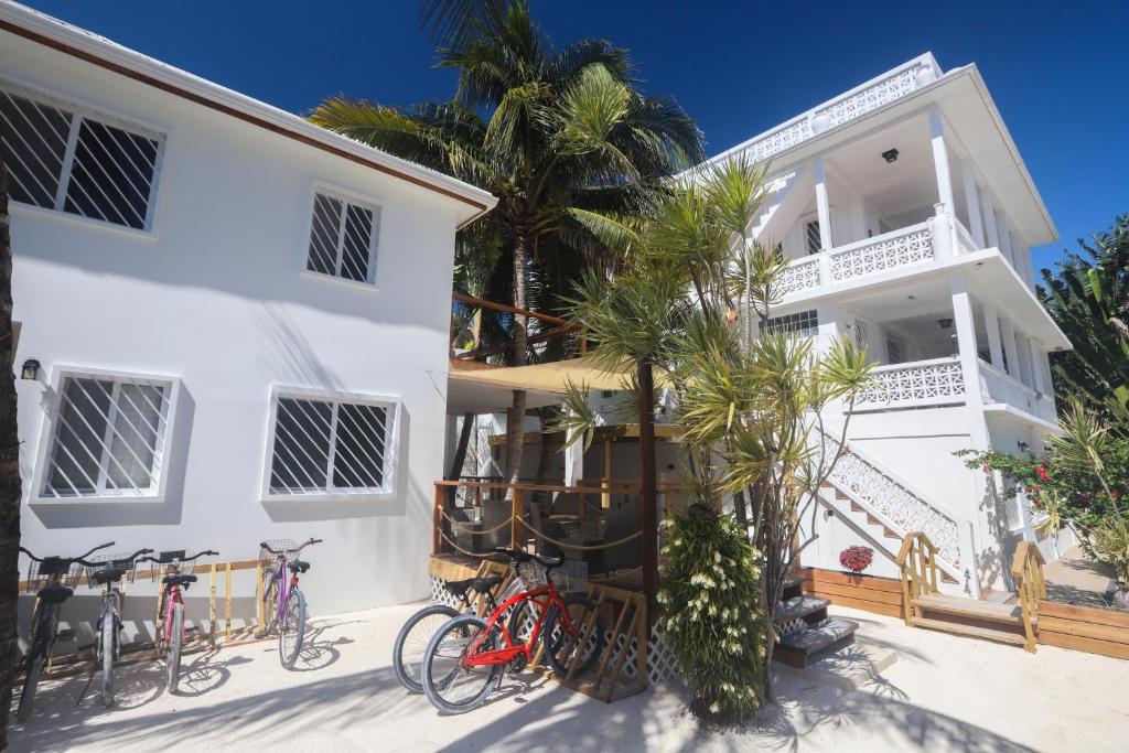 Treetops Hotel photo 2